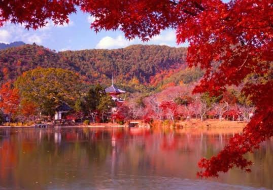 Cafe Sharehouse Hotel Kyoto Luaran gambar